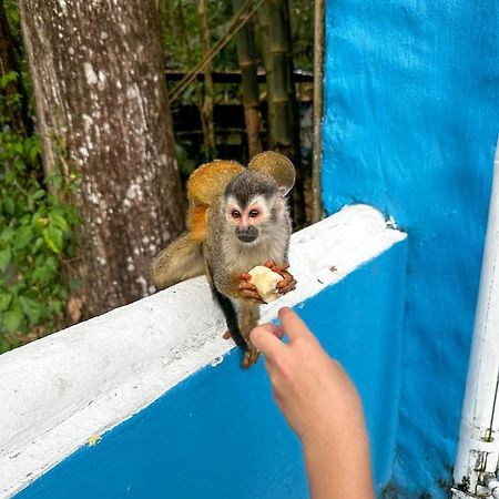 Hospedaje Colibri Manuel Antonio Dış mekan fotoğraf