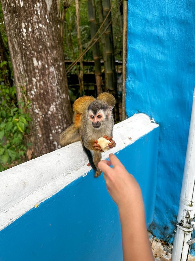 Hospedaje Colibri Manuel Antonio Dış mekan fotoğraf