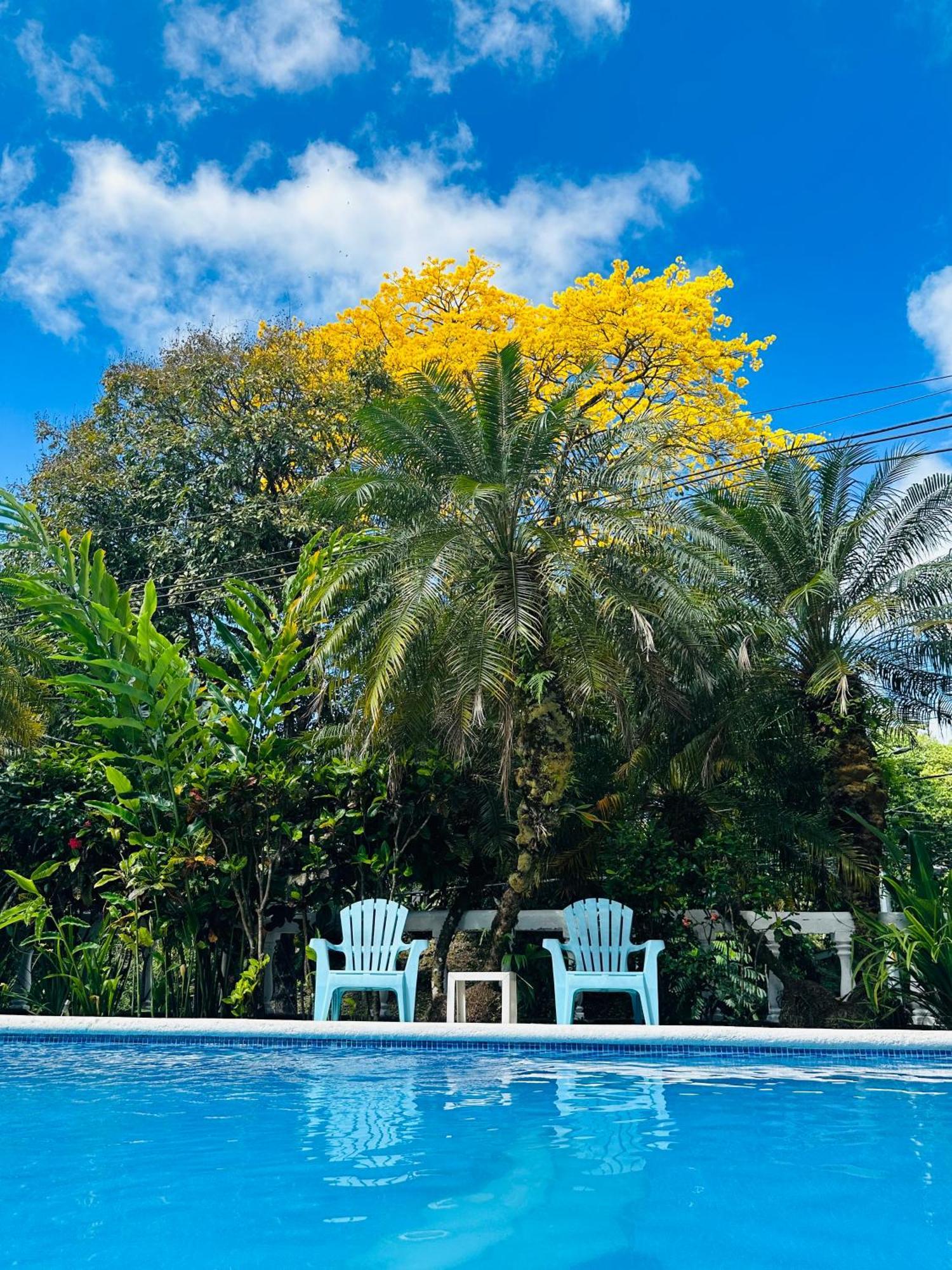 Hospedaje Colibri Manuel Antonio Dış mekan fotoğraf